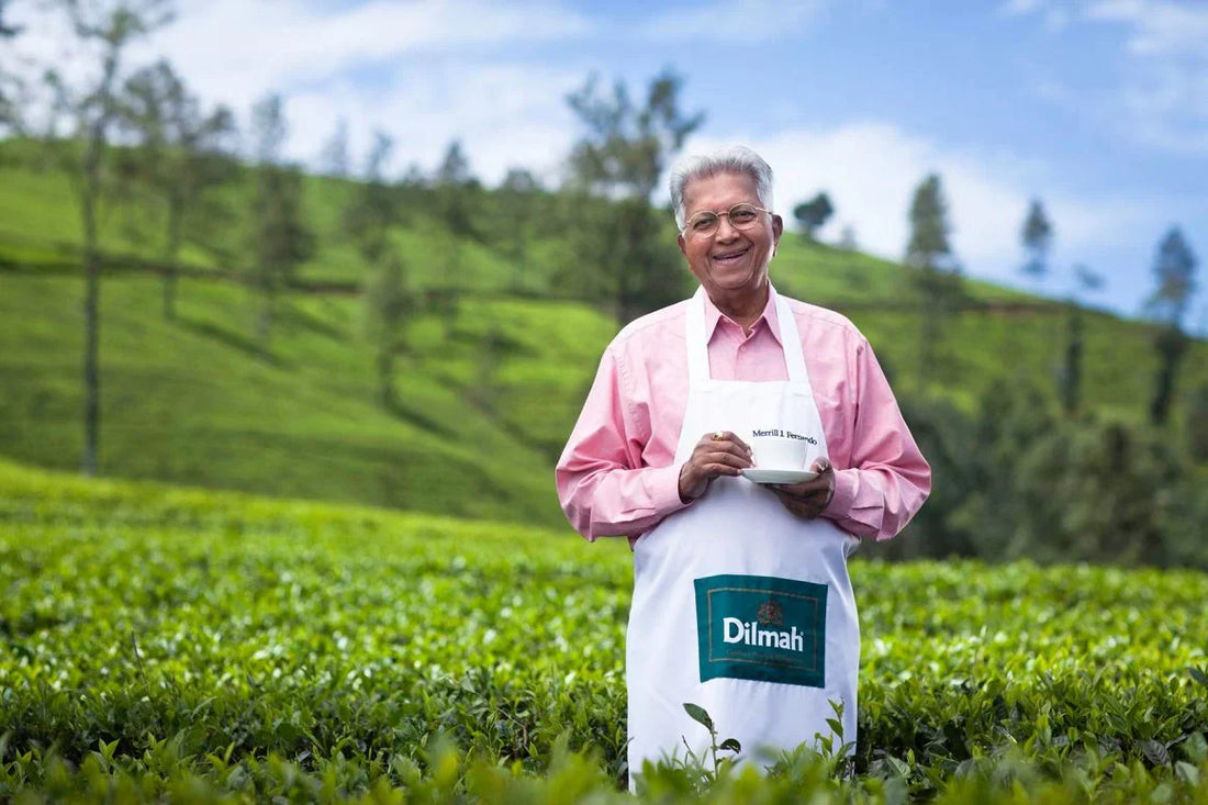 How the ZeroWater pitcher convinced Dilmah