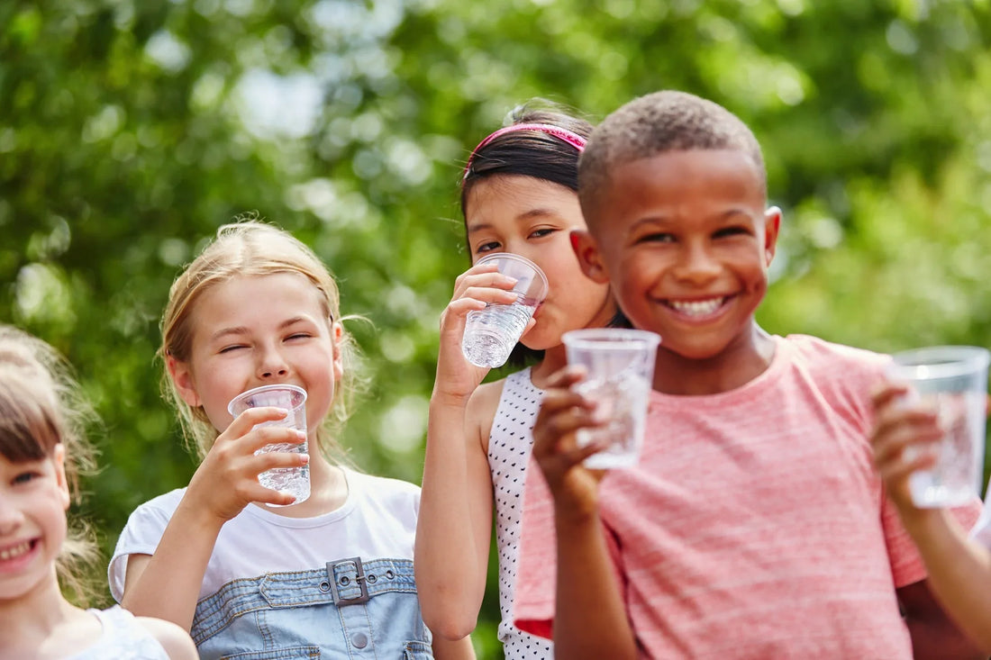 How much water can you filter with a ZeroWater filter?
