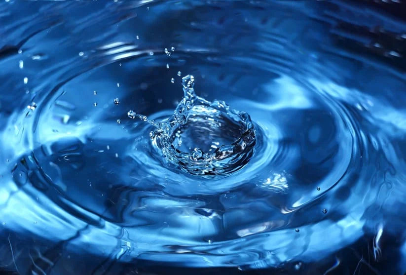 Does ZeroWater remove manganese?