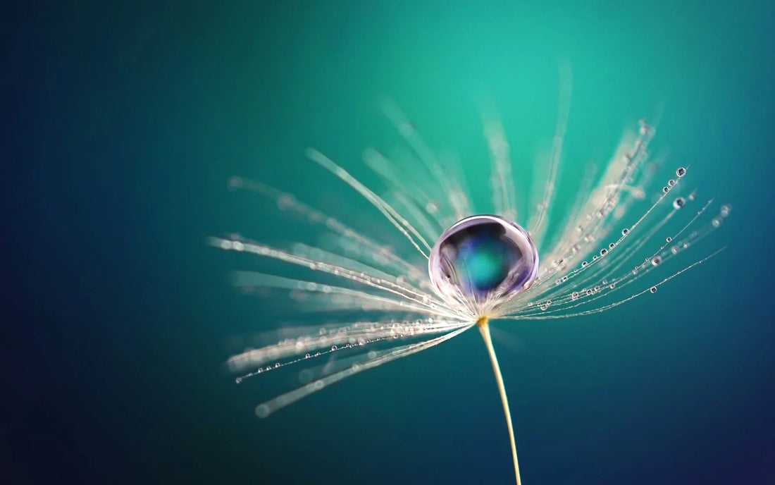 What exactly is soft water?