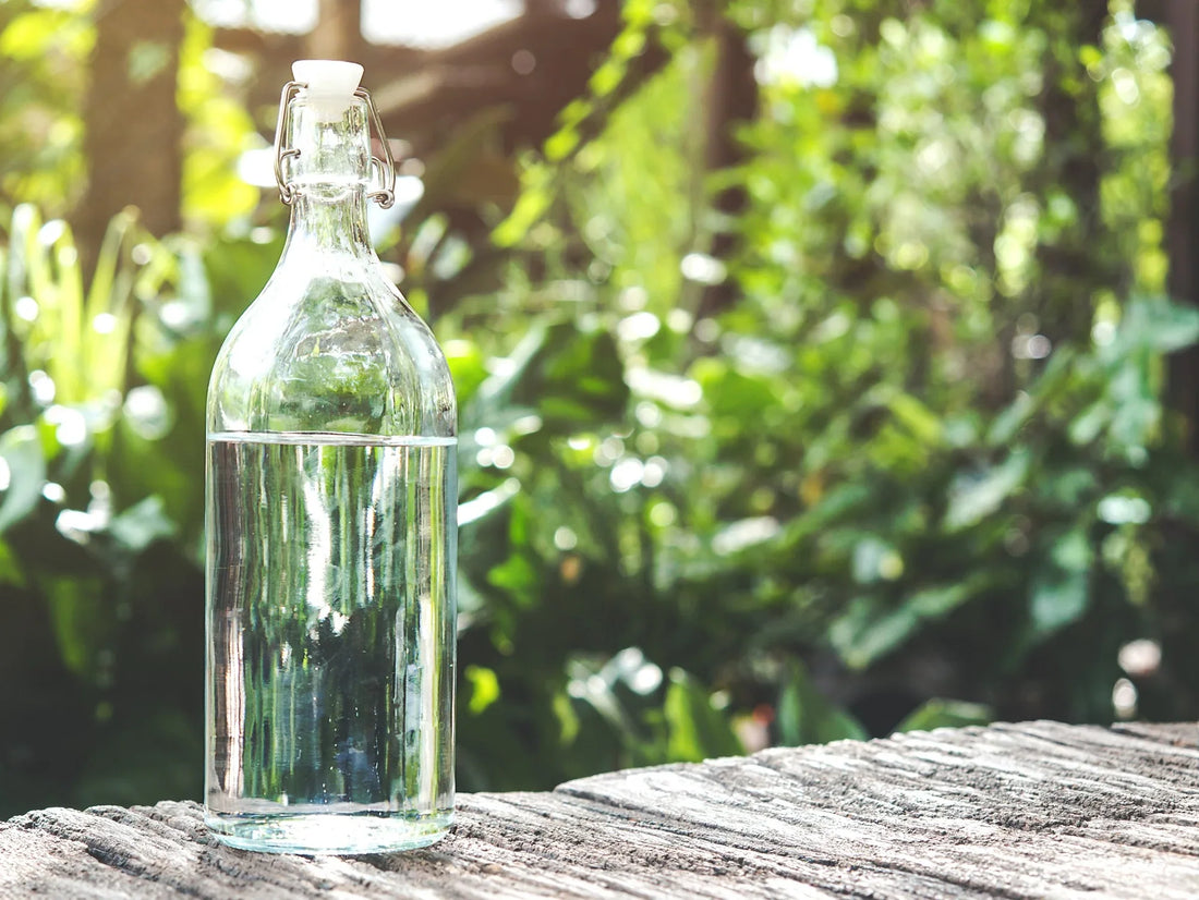 What pollution is in the water?